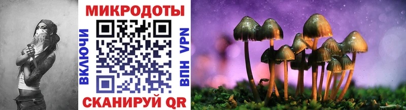 Псилоцибиновые грибы Magic Shrooms  Чегем 